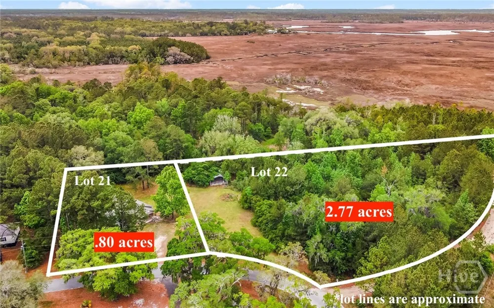 1595 Forest Island Drive Townsend, GA 31331