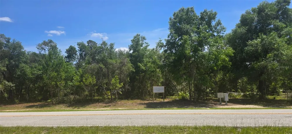 NE 236TH COURT Fort Mc Coy, FL 32134