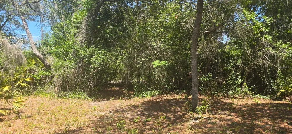 NE 236TH COURT Fort Mc Coy, FL 32134