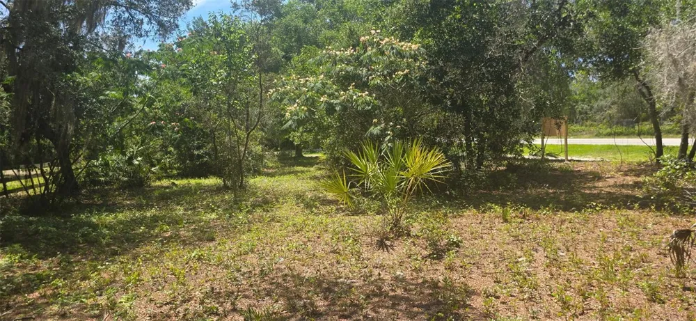 NE 236TH COURT Fort Mc Coy, FL 32134
