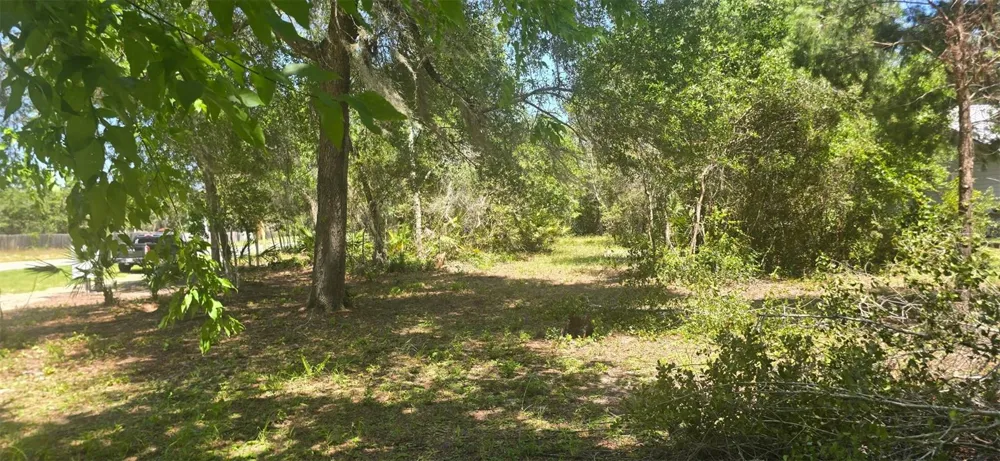NE 236TH COURT Fort Mc Coy, FL 32134