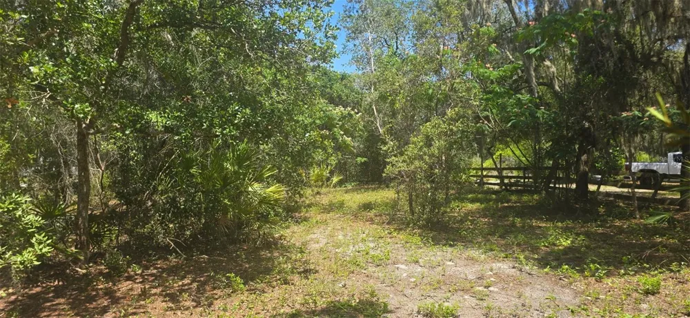 NE 236TH COURT Fort Mc Coy, FL 32134