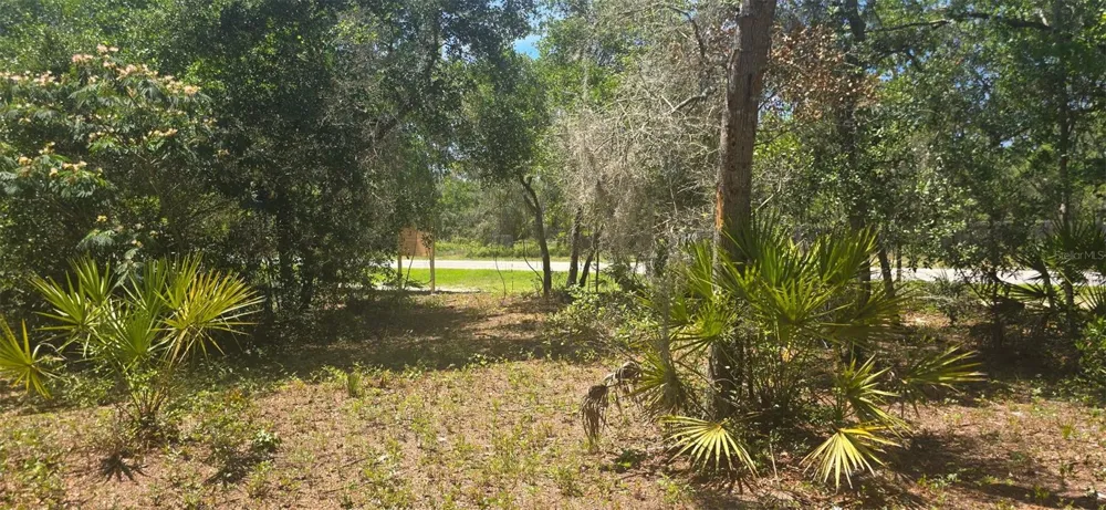 NE 236TH COURT Fort Mc Coy, FL 32134