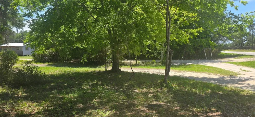 NE 236TH COURT Fort Mc Coy, FL 32134