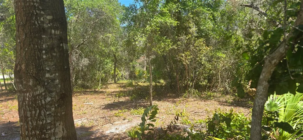 NE 236TH COURT Fort Mc Coy, FL 32134