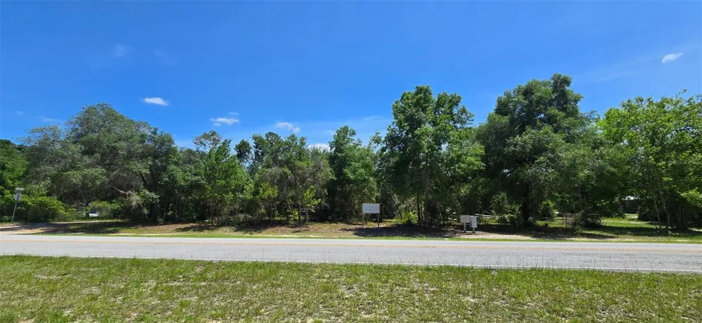 NE 236TH COURT Fort Mc Coy, FL 32134