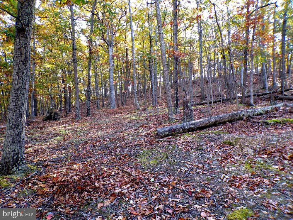 DEER RIDGE ESTATES Springfield, WV 26763