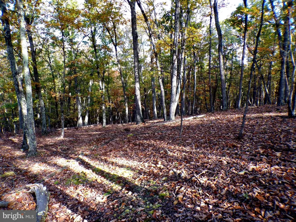 DEER RIDGE ESTATES Springfield, WV 26763