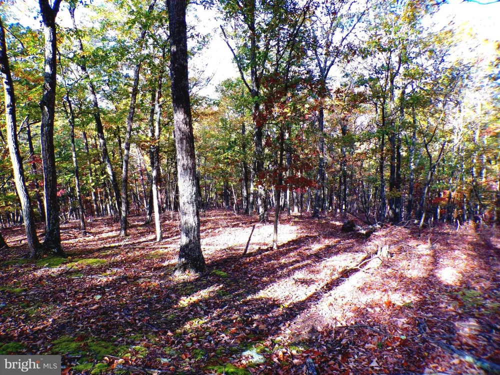 DEER RIDGE ESTATES Springfield, WV 26763