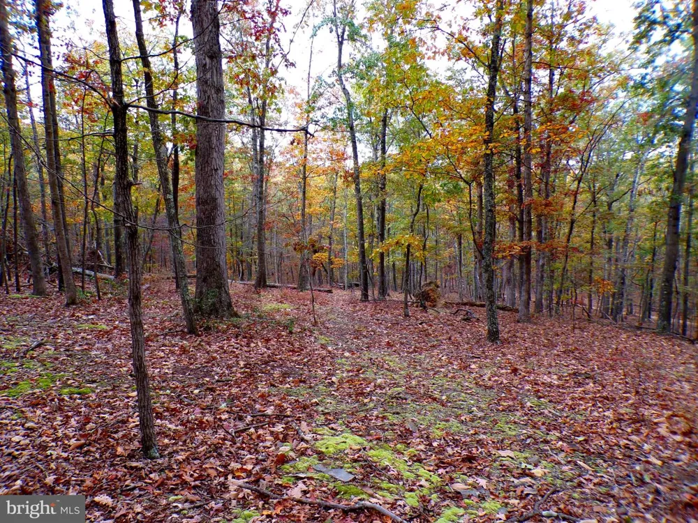 DEER RIDGE ESTATES Springfield, WV 26763