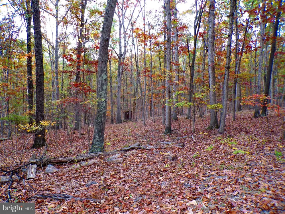 DEER RIDGE ESTATES Springfield, WV 26763