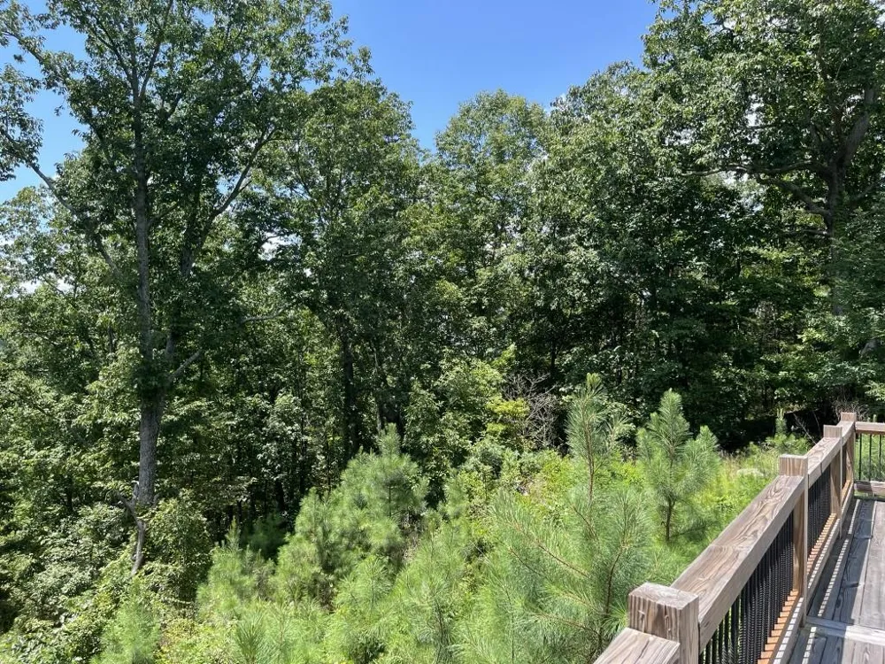 98 Adair Drive NE Ranger, GA 30734