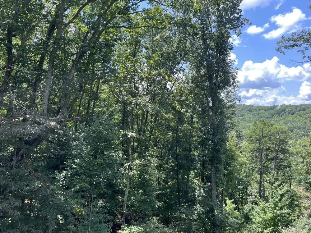 98 Adair Drive NE Ranger, GA 30734