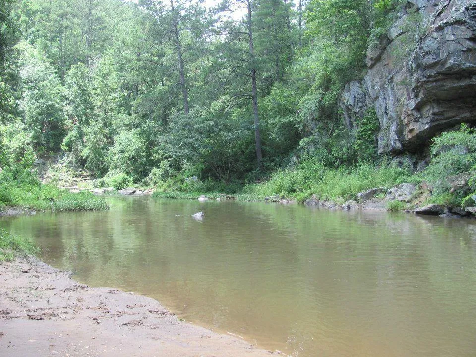 98 Adair Drive NE Ranger, GA 30734