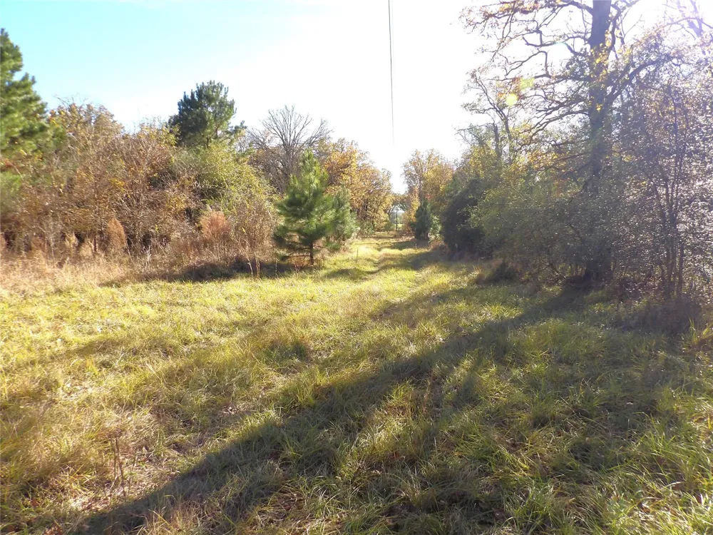 Us Highway 287 / Cr 4140 Crockett, TX 75835