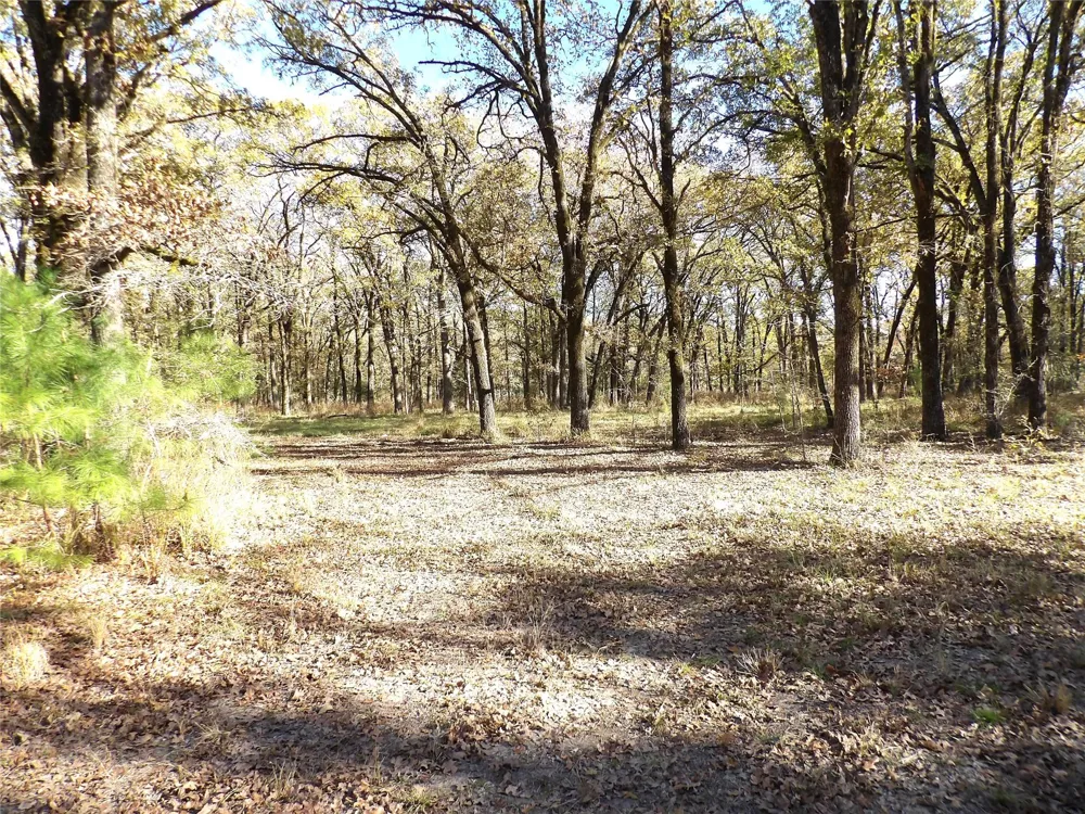 Us Highway 287 / Cr 4140 Crockett, TX 75835