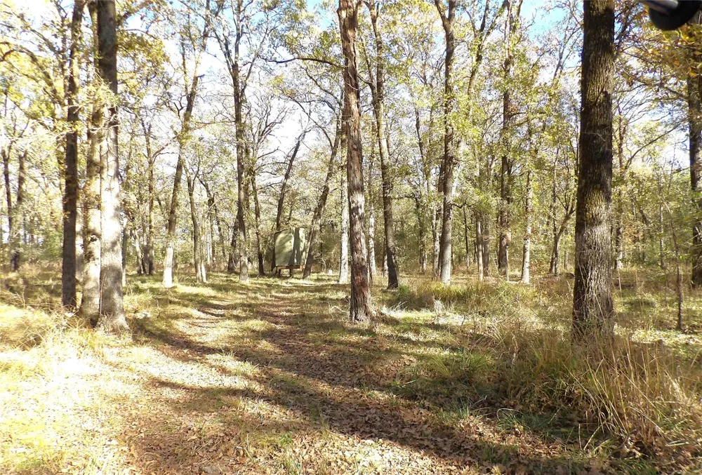 Us Highway 287 / Cr 4140 Crockett, TX 75835