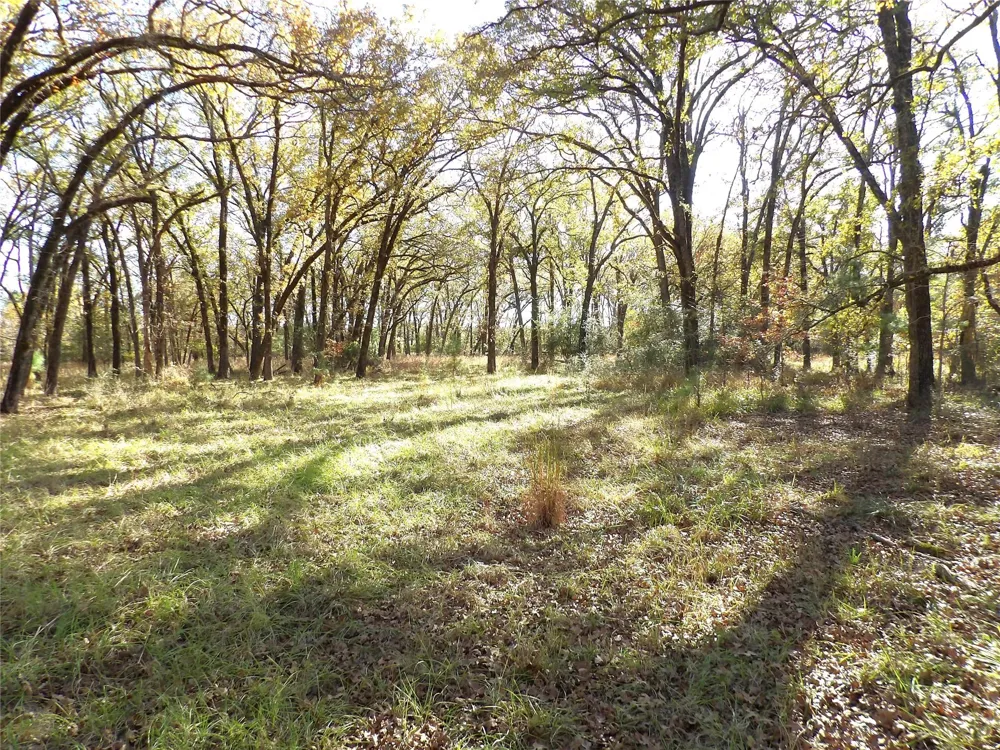 Us Highway 287 / Cr 4140 Crockett, TX 75835