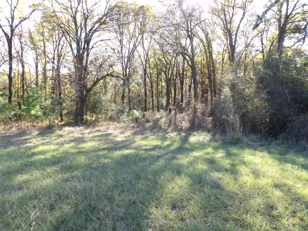 Us Highway 287 / Cr 4140 Crockett, TX 75835