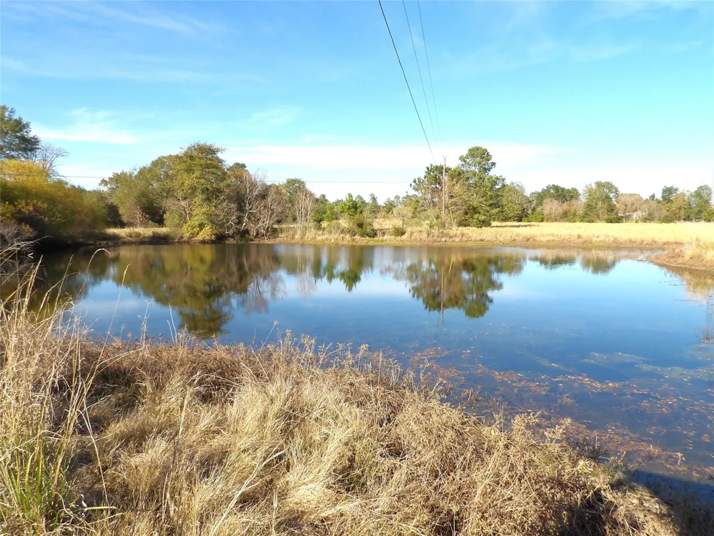 Us Highway 287 / Cr 4140 Crockett, TX 75835