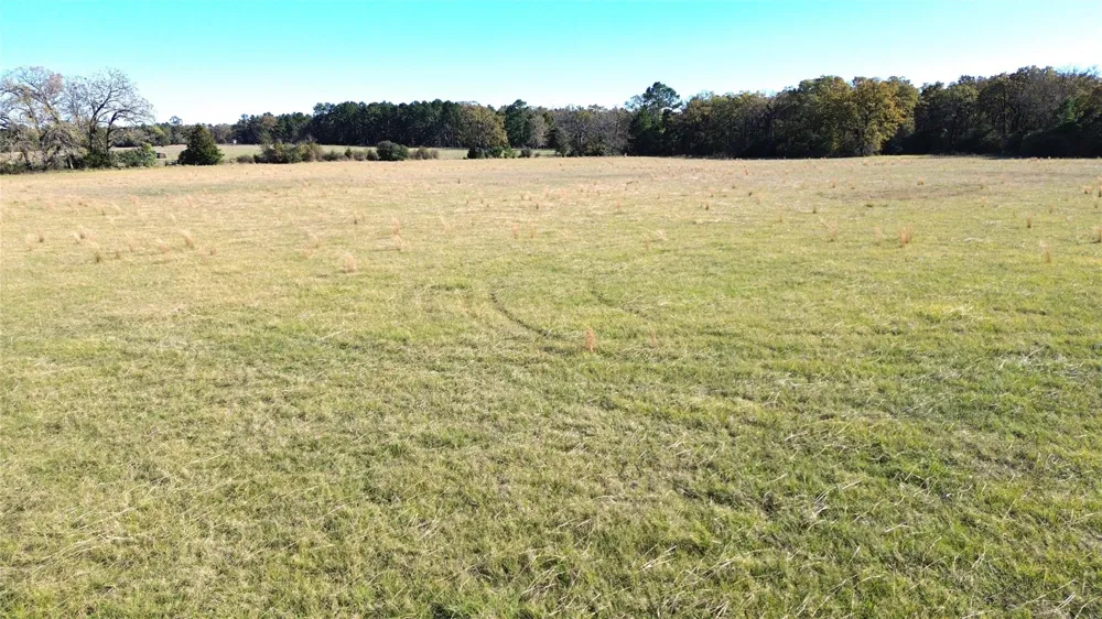 Us Highway 287 / Cr 4140 Crockett, TX 75835
