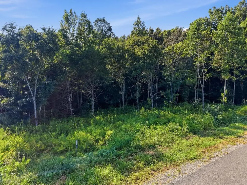 9333 Medlin Rd Baxter, TN 38544