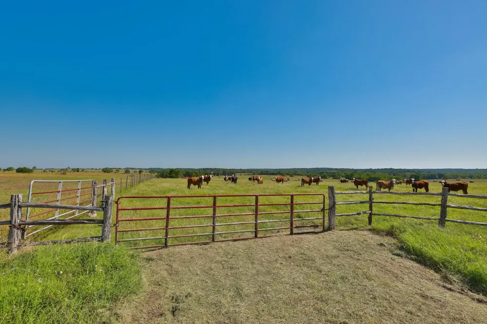 6 Cr 305 Road Navasota, TX 77868