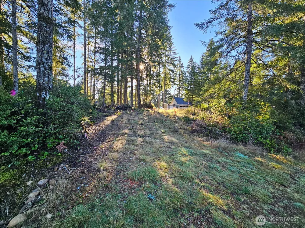 1190 E Manzanita Drive Union, WA 98592