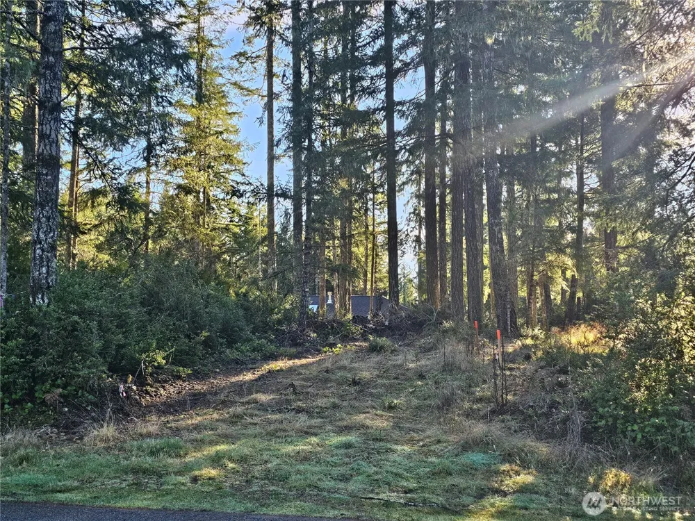 1190 E Manzanita Drive Union, WA 98592