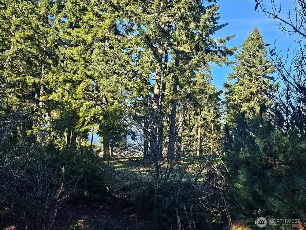 1190 E Manzanita Drive Union, WA 98592