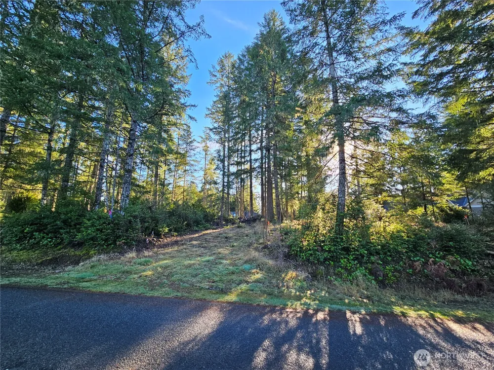 1190 E Manzanita Drive Union, WA 98592