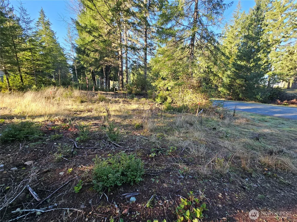 1190 E Manzanita Drive Union, WA 98592