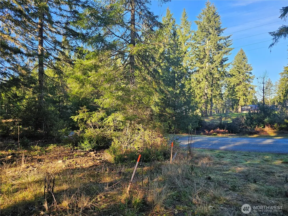 1190 E Manzanita Drive Union, WA 98592