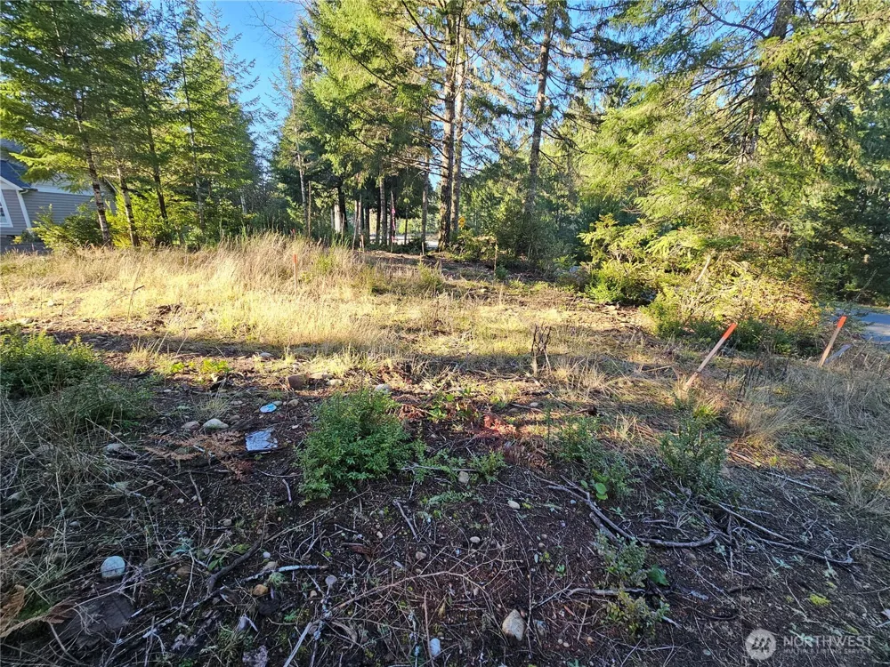 1190 E Manzanita Drive Union, WA 98592