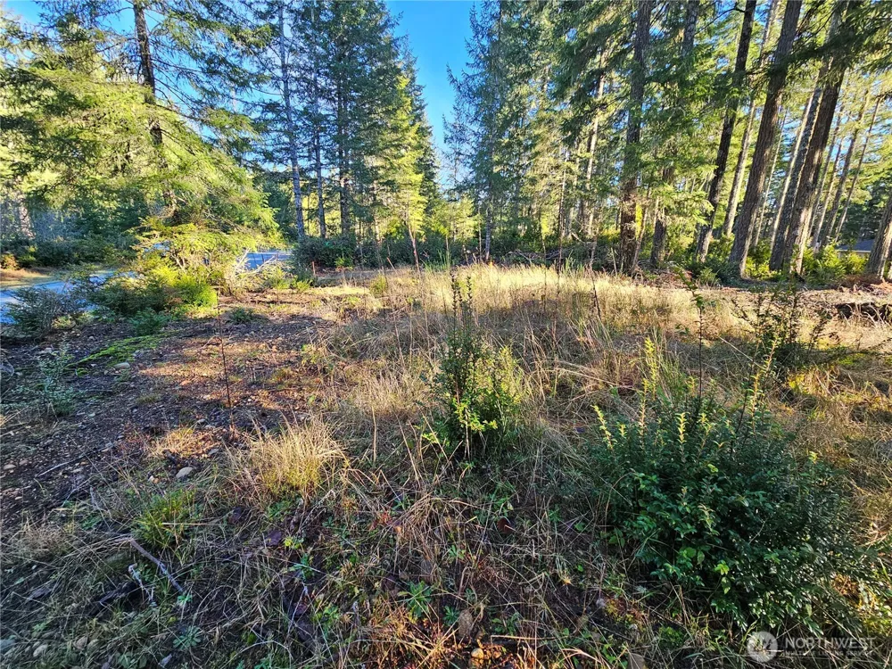 1190 E Manzanita Drive Union, WA 98592