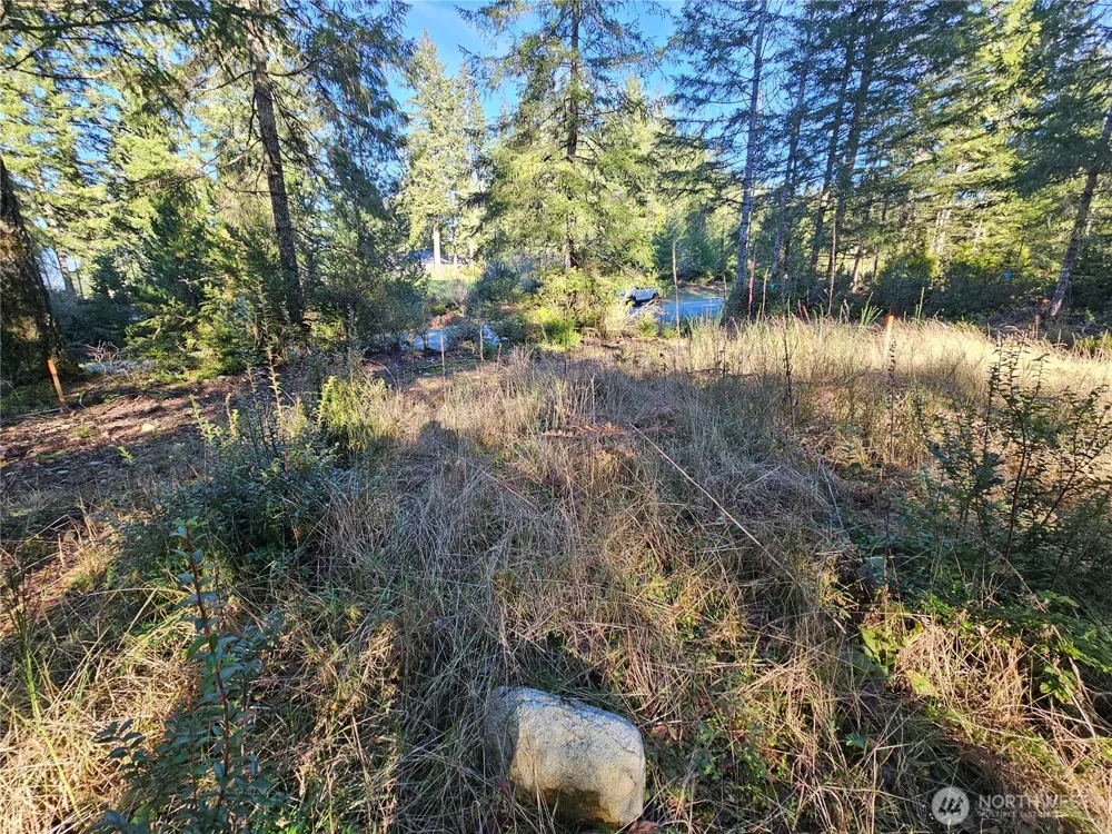 1190 E Manzanita Drive Union, WA 98592