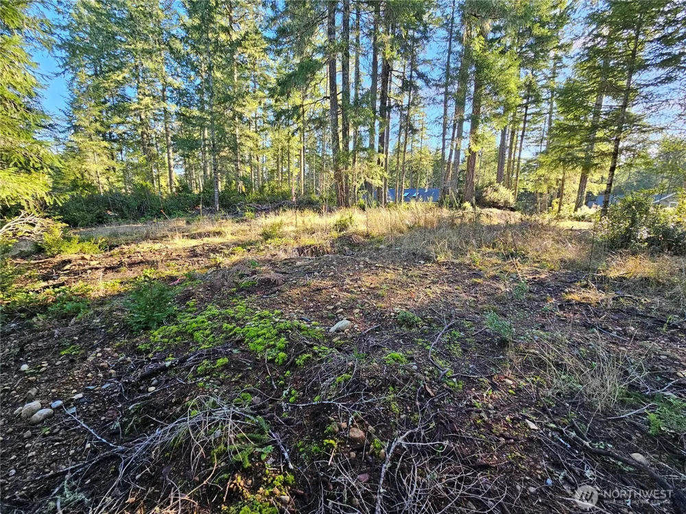 1190 E Manzanita Drive Union, WA 98592