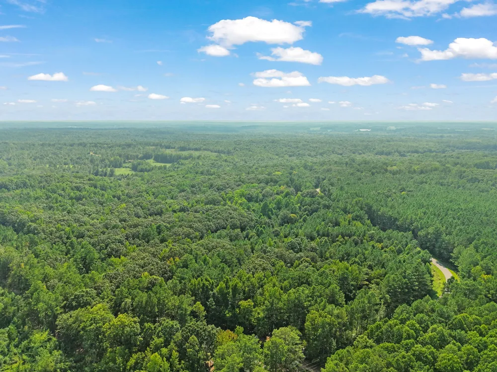 875 New Friendship Rd Buena Vista, TN 38318