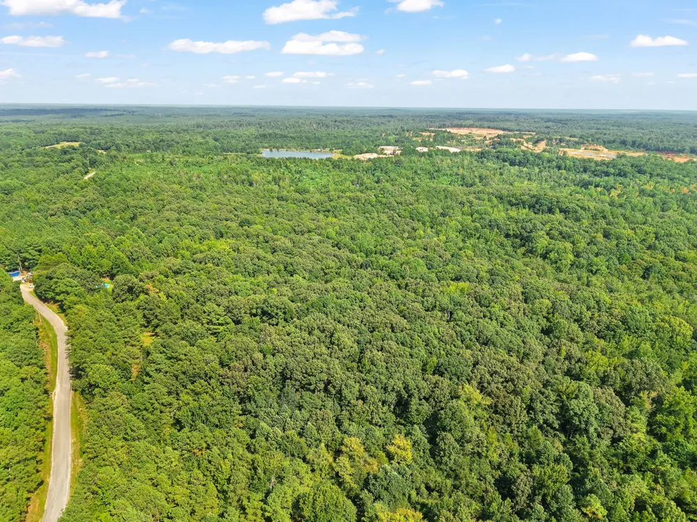 875 New Friendship Rd Buena Vista, TN 38318