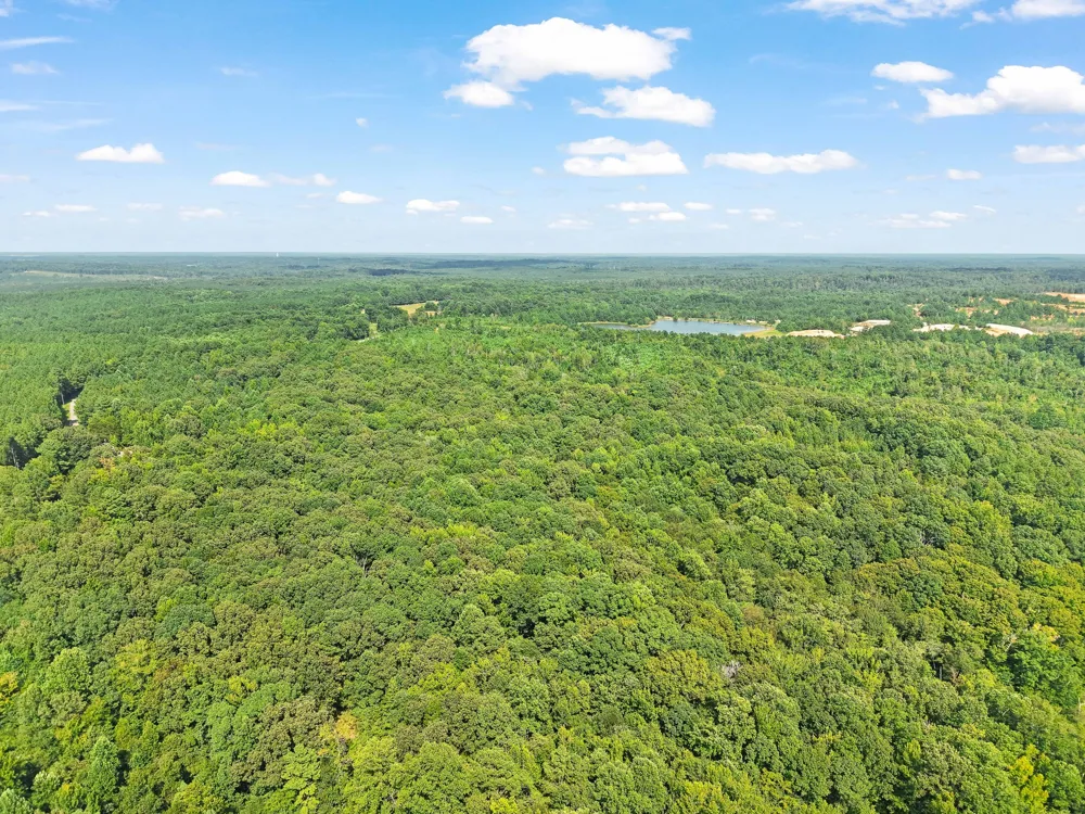 875 New Friendship Rd Buena Vista, TN 38318