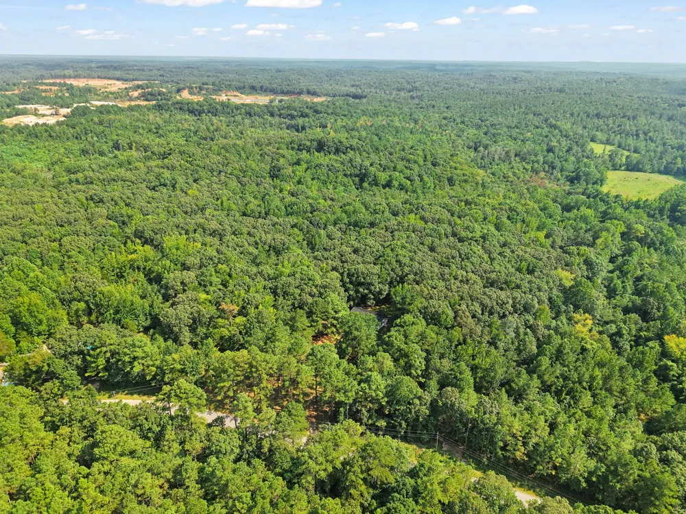 875 New Friendship Rd Buena Vista, TN 38318