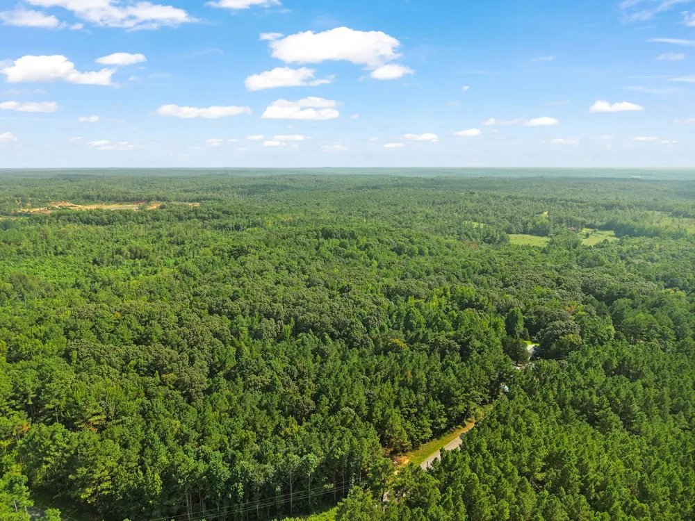 875 New Friendship Rd Buena Vista, TN 38318