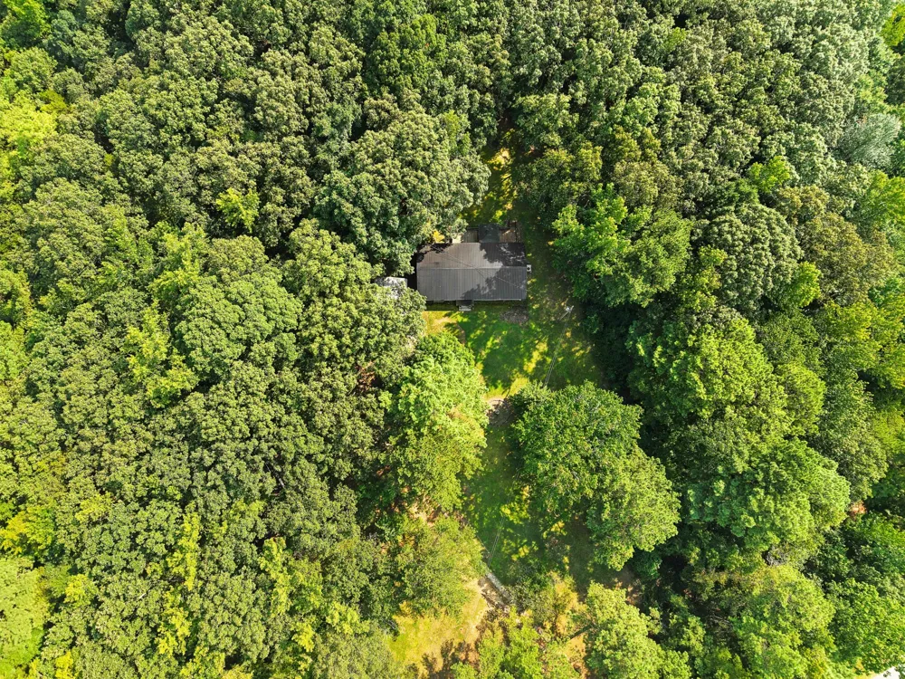 875 New Friendship Rd Buena Vista, TN 38318