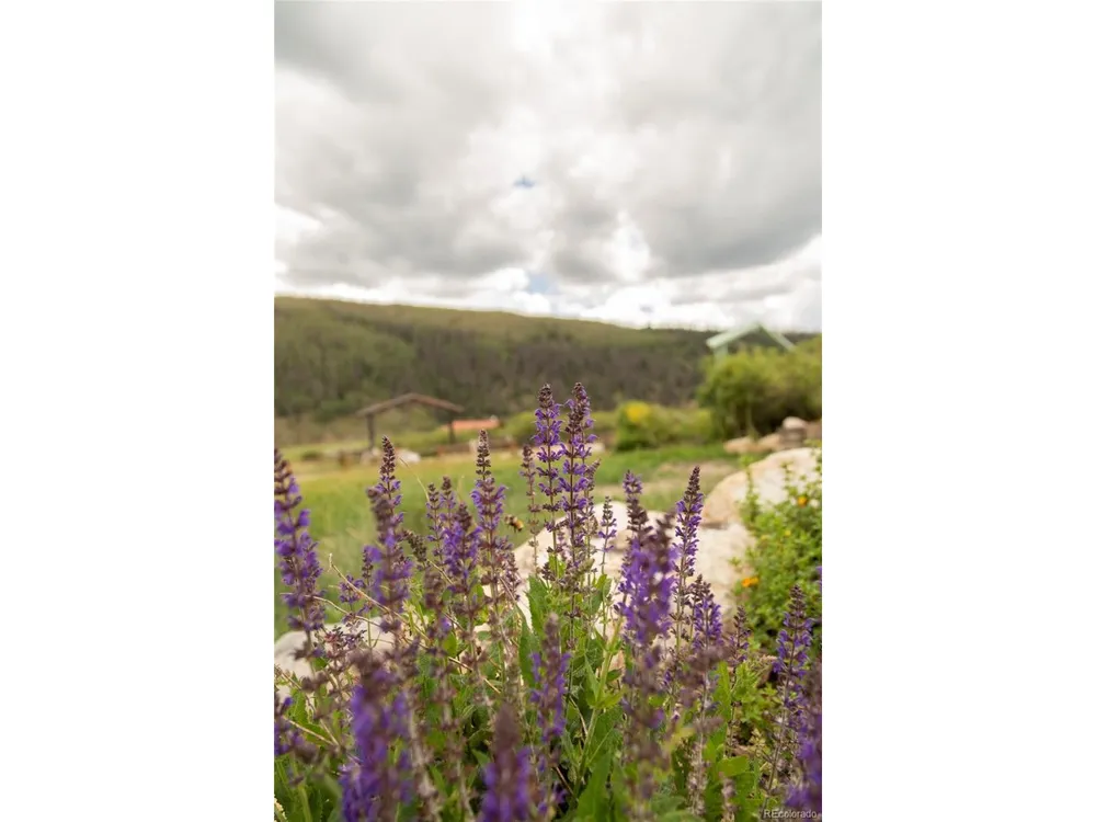 1001 CR 17 Gunnison Cabin Lake City, CO 81235