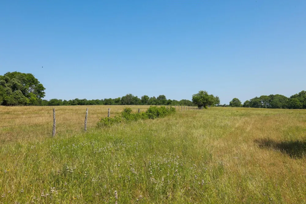 8 Cr 305 Road Navasota, TX 77868