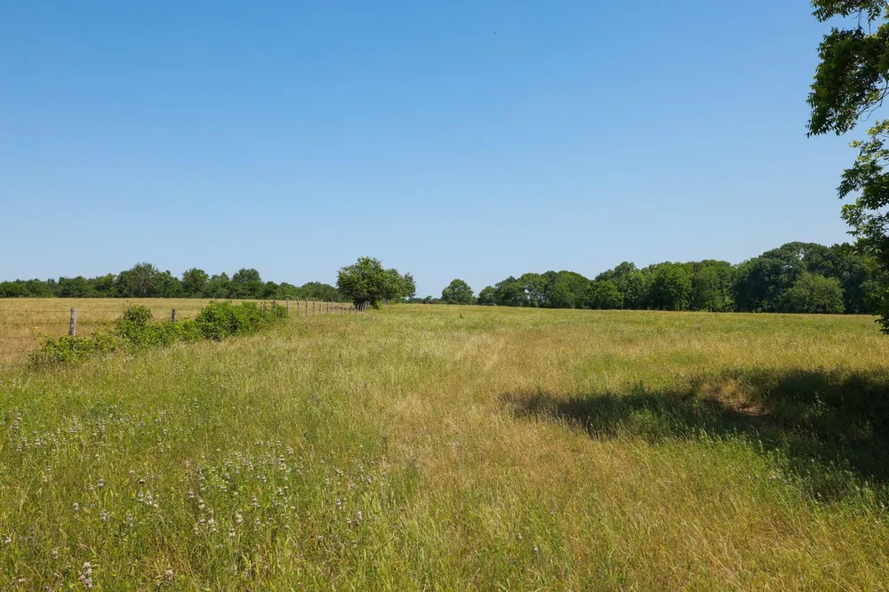 8 Cr 305 Road Navasota, TX 77868