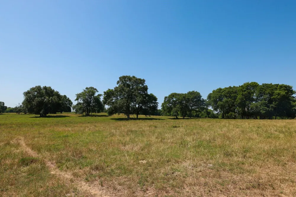 8 Cr 305 Road Navasota, TX 77868