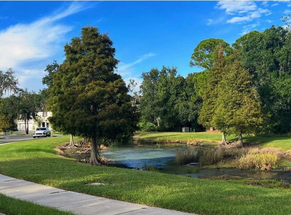 7849 MARSH POINTE DRIVE Tampa, FL 33635