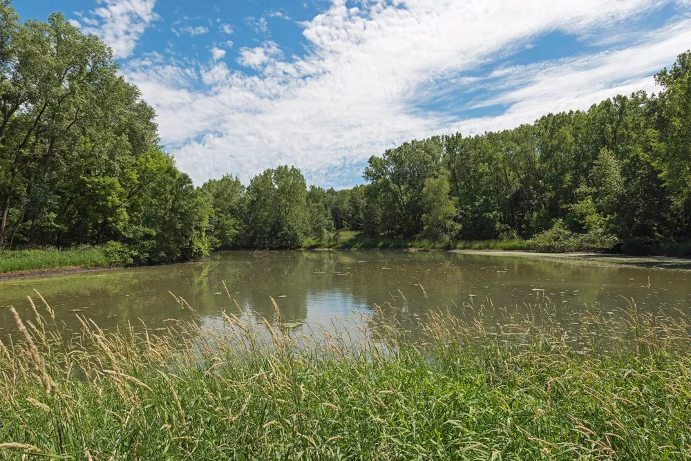 500 County Road B W #235 Roseville, MN 55113