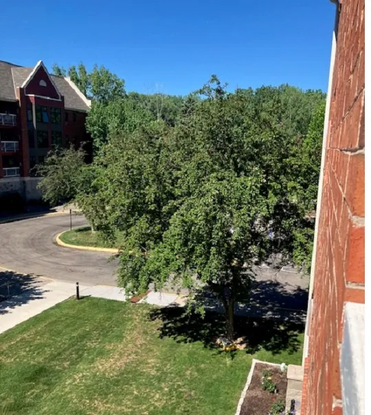 500 County Road B W #235 Roseville, MN 55113